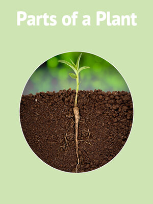 cover image of Plant Parts